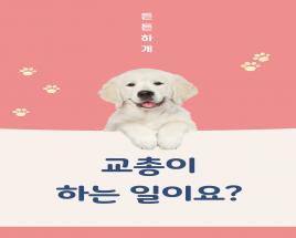 사진13